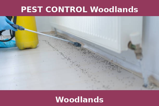 PEST CONTROL Woodlands